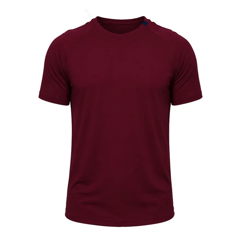 Men's Training Raglan 2.0 - Claret / S
