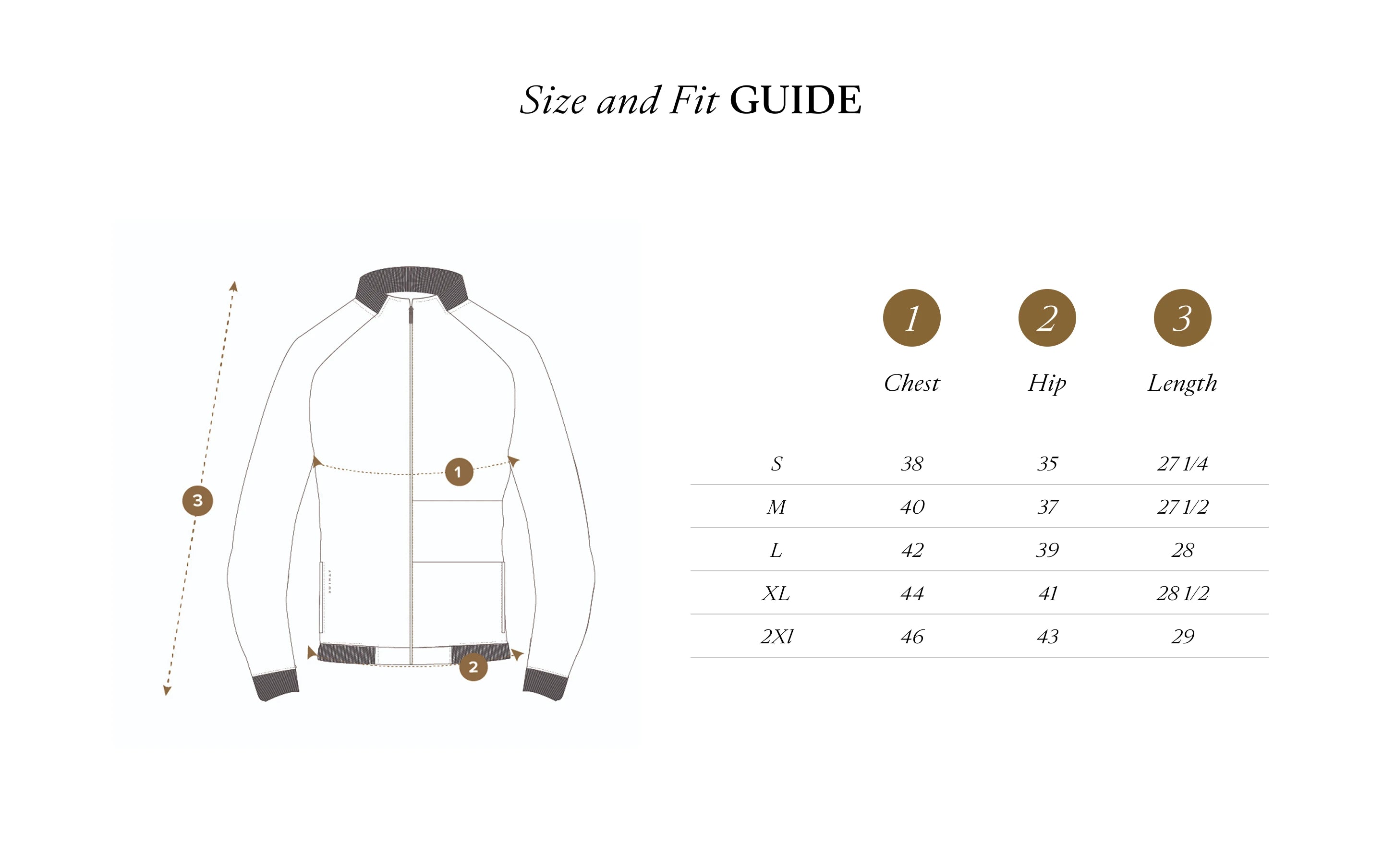 Size Chart IN