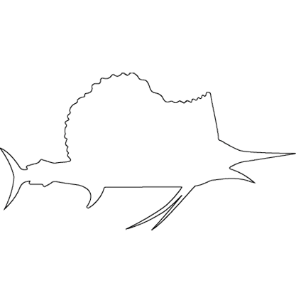 AGILE <span>Collection</span>