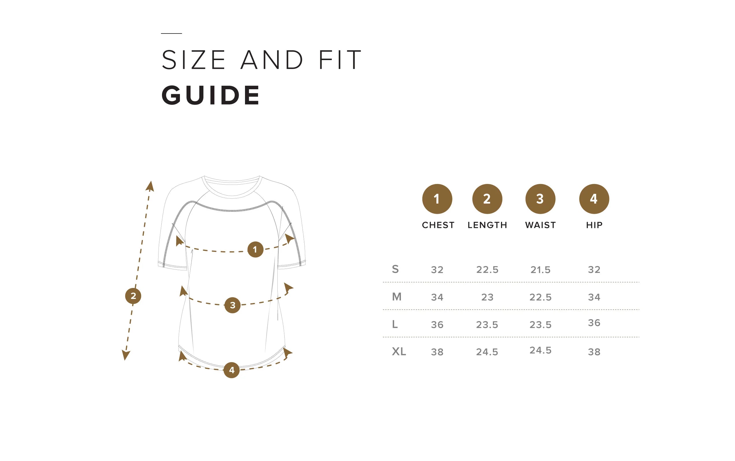 Size Chart IN