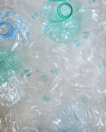 Recycle polyester